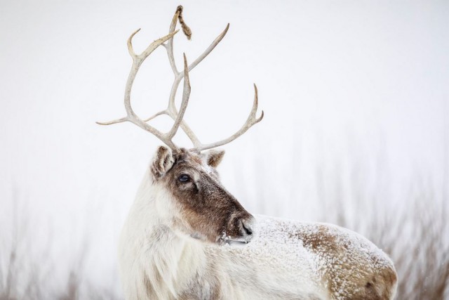 Подборка интересных и веселых картинок