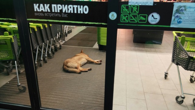 Двоякая ситуация