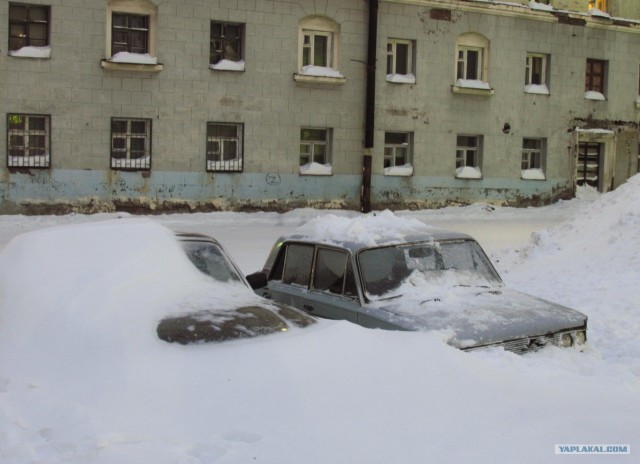 Подснежники гробы. г. Норильск