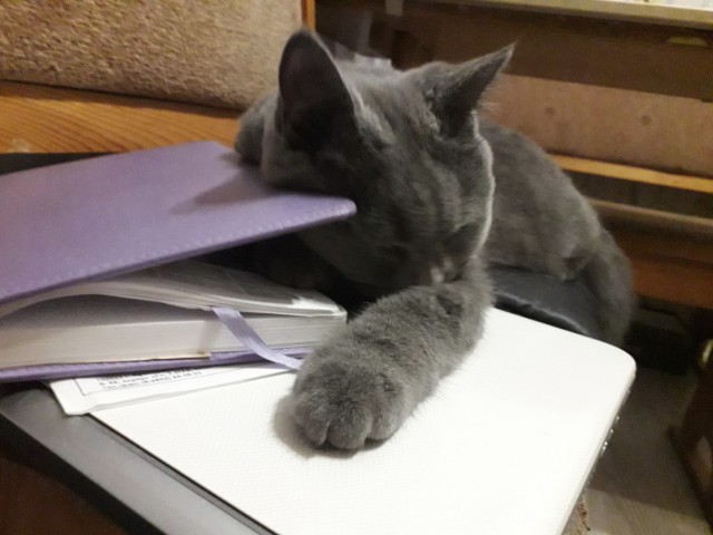 Немного милоты