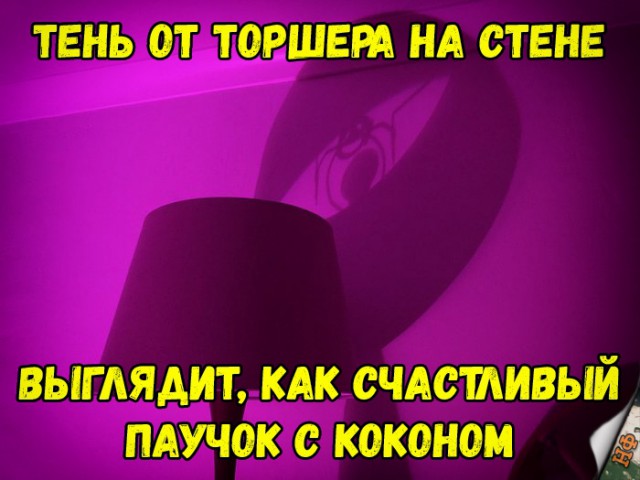 Прикольные картинки абавсём