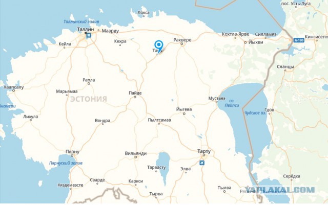 Франция отправит танки и военных к границам России