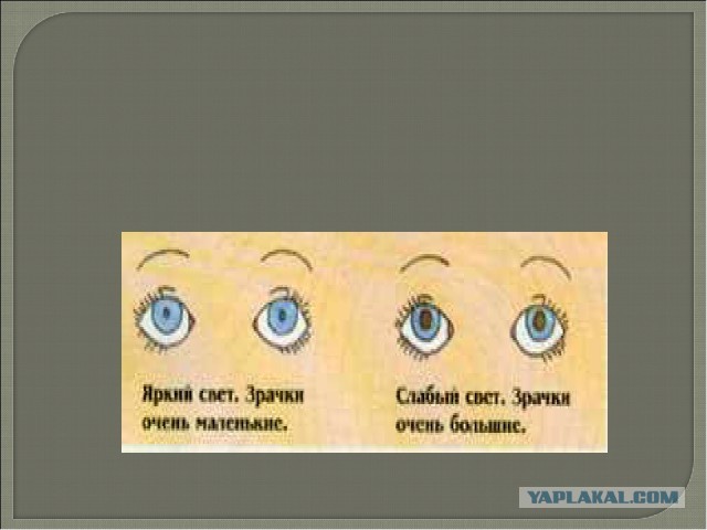 Американцы были на Луне: НАСА представлены очередные доказательства