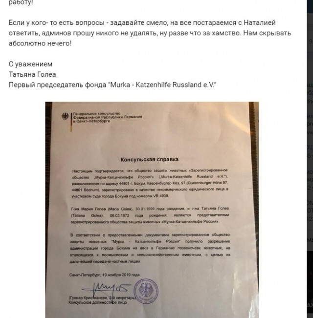 Помогите вернуть кота! Приют "Преданное сердце" украл кота и не отдает!-2
