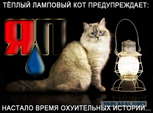 40-летние никому не нужны? Ни для работы, ни для семьи