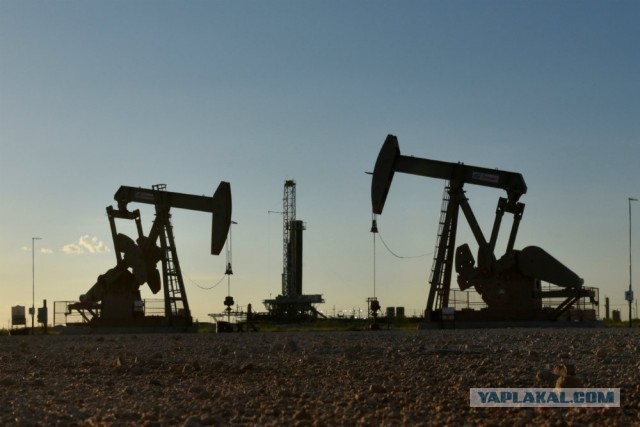 Стало известно о намерении России обвалить цены на нефть