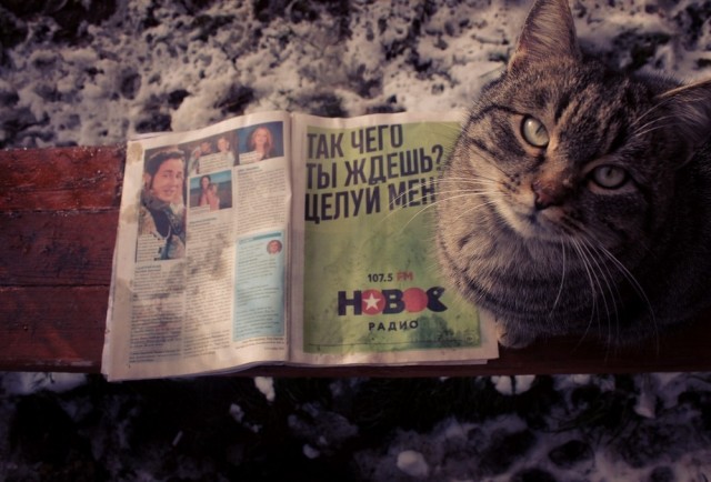 Немного картинок ниочом