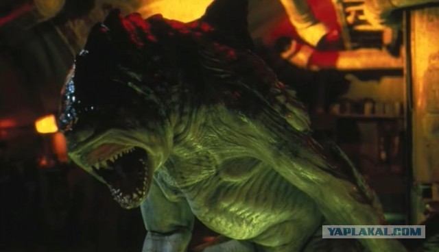 Акулка хочет камбалы!