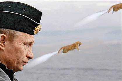 Кот - космонавт