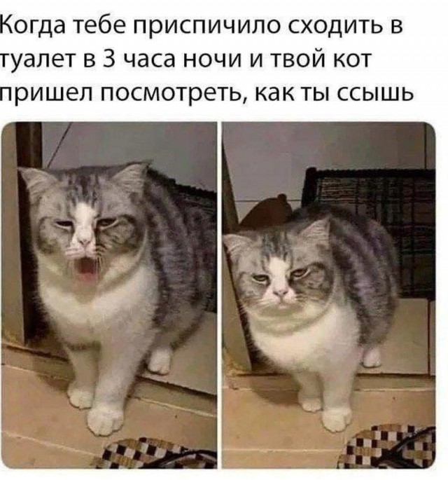 Бредзона 05.12.20
