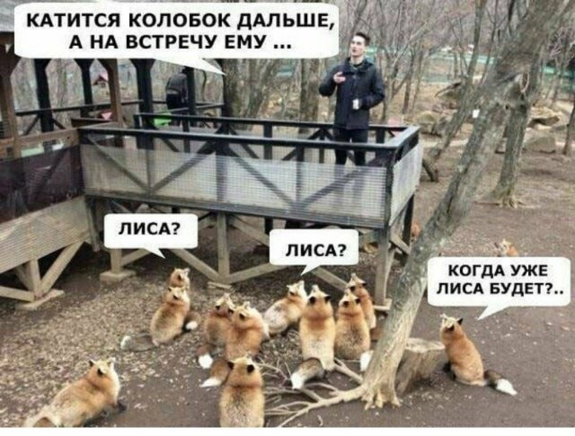 Картинки и мемы для настроения 014