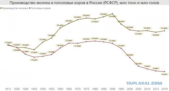 Как российские санкции изменили чешский рынок мяса