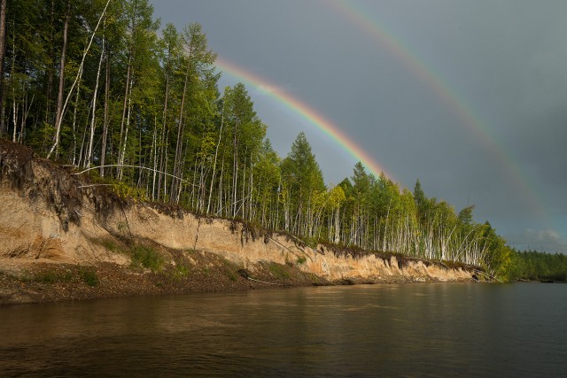 Ты неси меня река