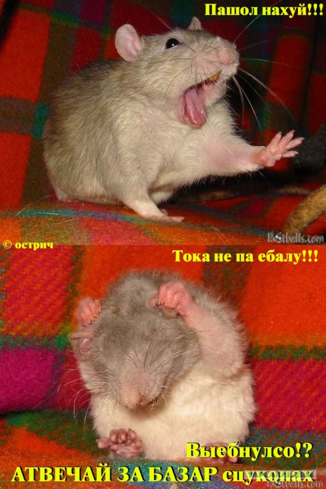 Хотел поговорить по мужски