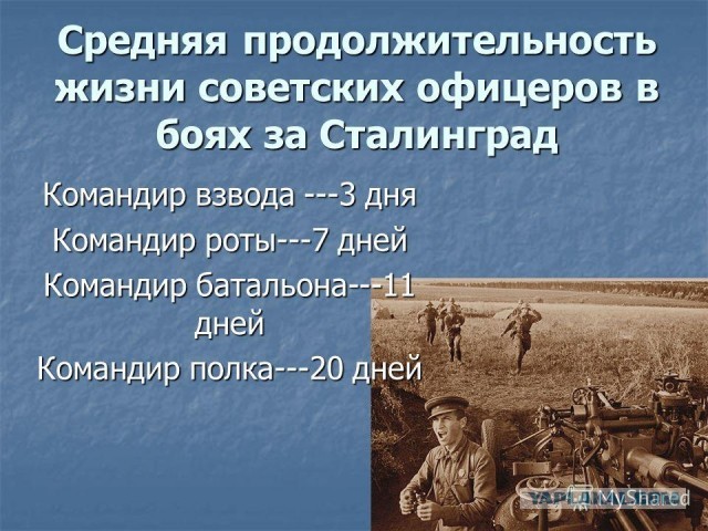 Какая зарплата была у советских солдат во время Великой Отечественной войны