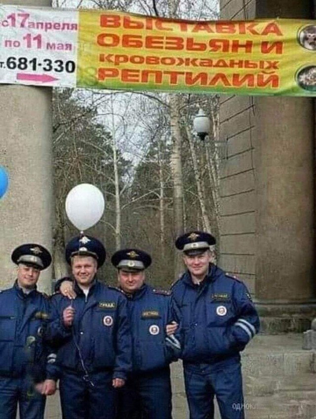 Всяческие картинки