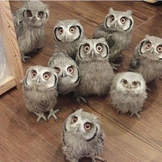 Картинки и мемы для настроения 05.08.2021