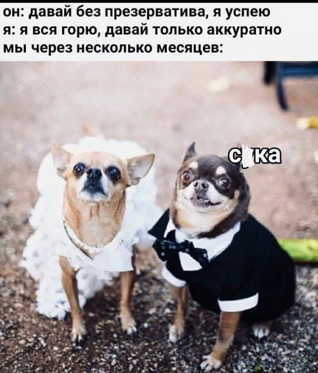 Мемасы (Пошлятина и мат)