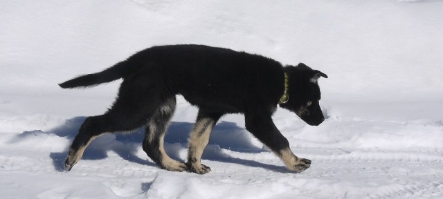 Когда то я была меньше кота, а теперь мы друзья