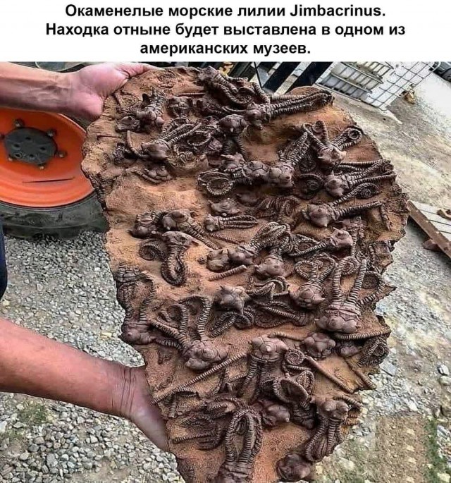 Так себе картинки 04.09.21