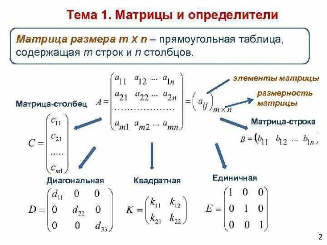 Однокурсники поступившей в девять лет в МГУ россиянки столкнулись с трудностями