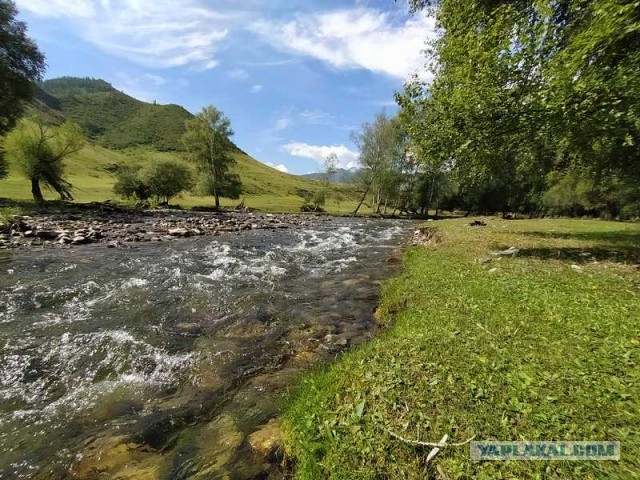 Бомж-тур по Алтаю