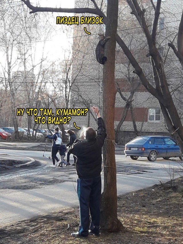 Весёлый полтишок 26.09