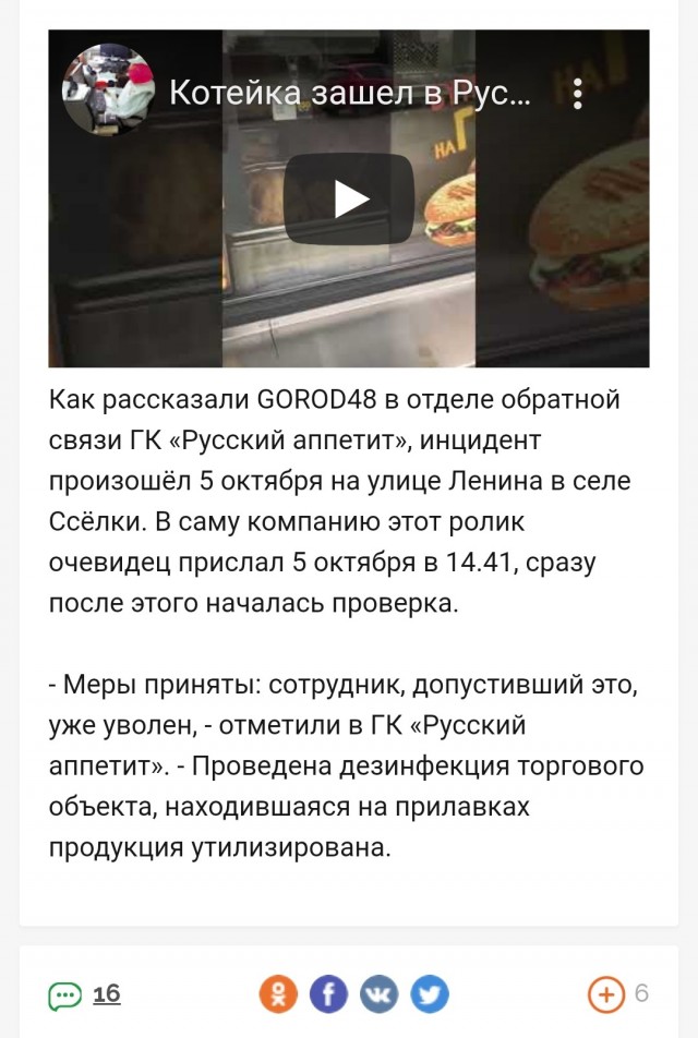 Кот хорошо поел