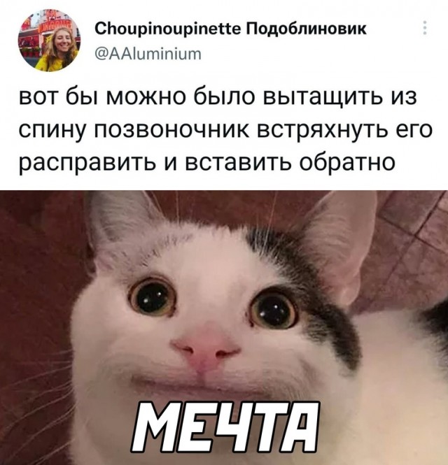 Весёлый полтишок 19.12