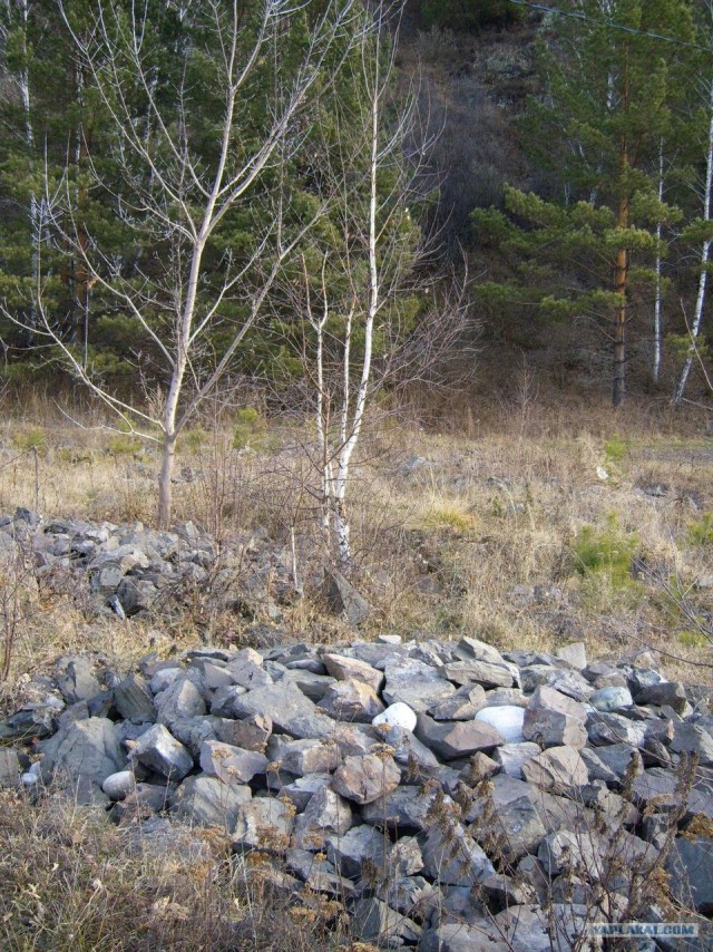 В ноябре на Алтае 2010г.