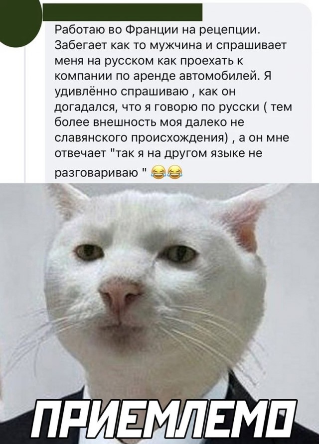 Чуток картинок 31.01.22