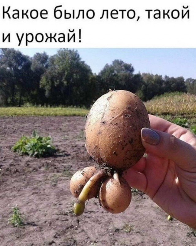 Пятница. И немного слегка пошлых картинок с надписями и без 16+ (11.02)