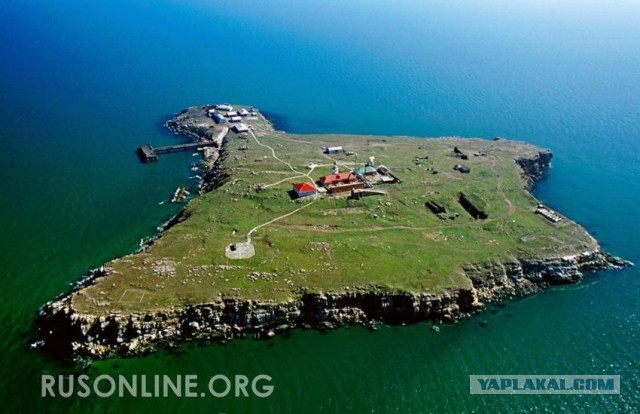 «Герои Украины» с острова Змеиный готовы подписать контракт с ВС РФ