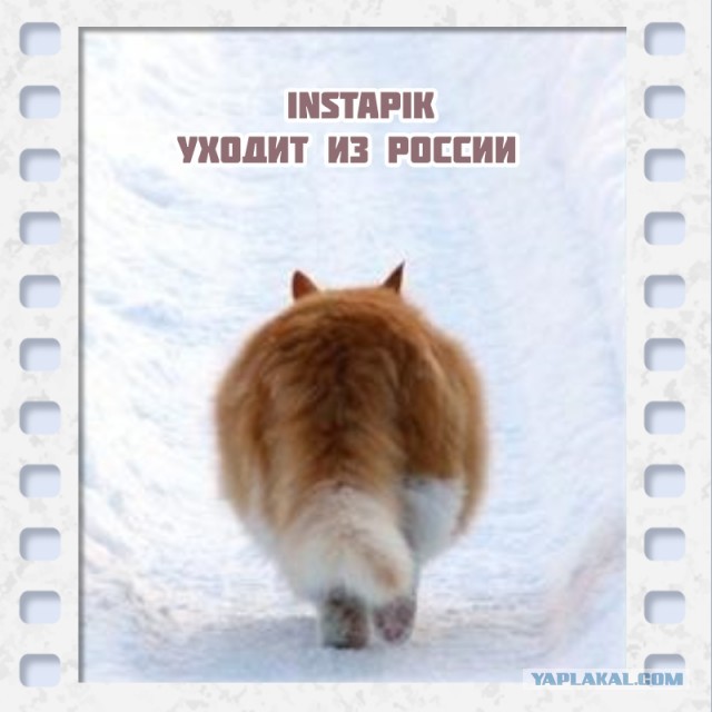 Полный список иностранных компаний которые ушли из России к 9 марта