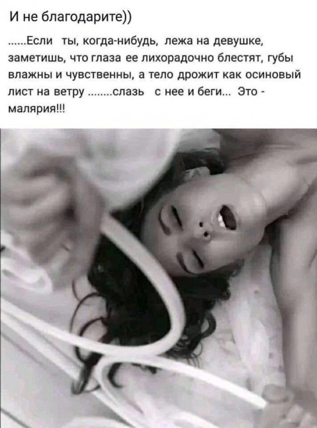 Так себе картинки 23.06.22