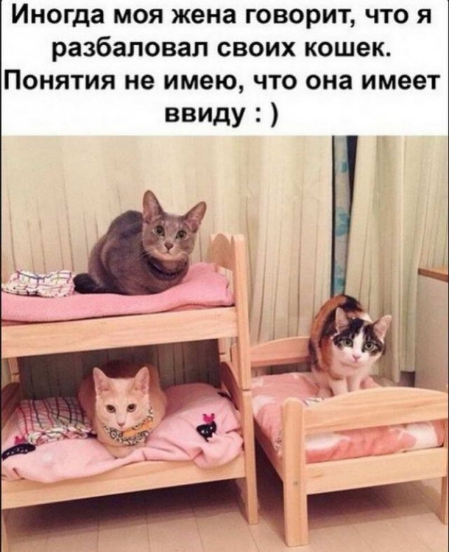 Картинки и мемы для настроения - 03