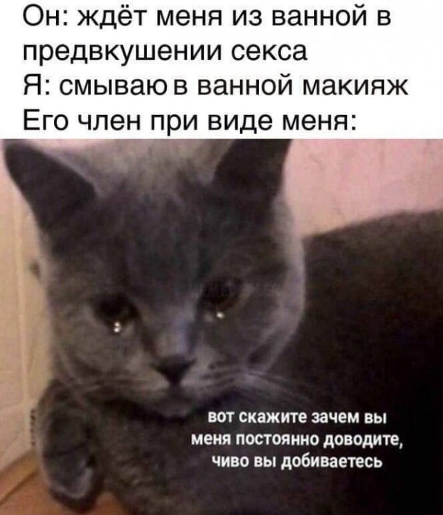 Немного мемчиков. Для взрослых 18+. Часть 6