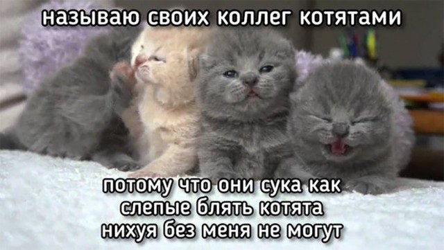 Победная поступь идиотизма по планете – том 5