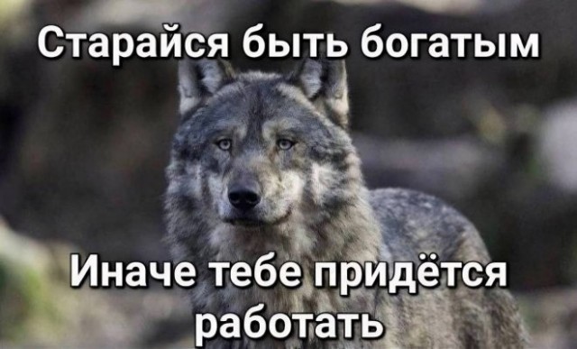 Картинки и мемы, всем хороших выходных
