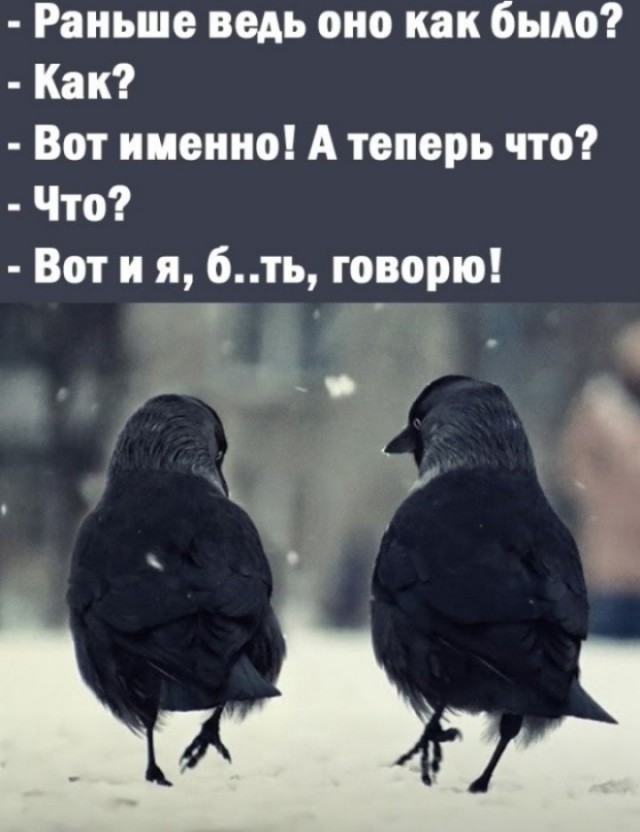 Не смешные глупые картинки