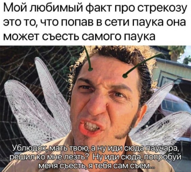 Немного картинок для настроения - 137