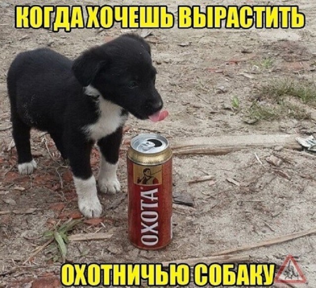 Картинки и мемы, всяко разно - 183