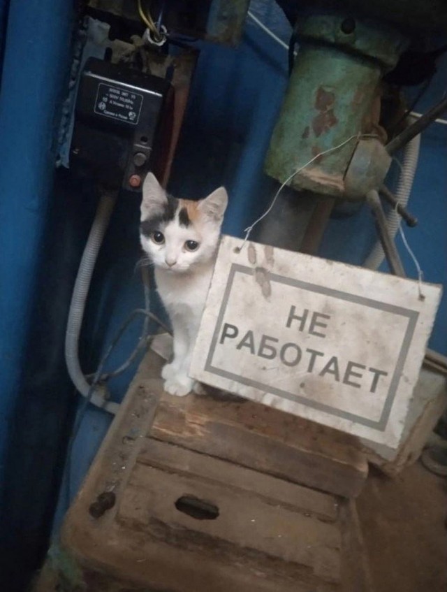 Нуштош 17.07.2023