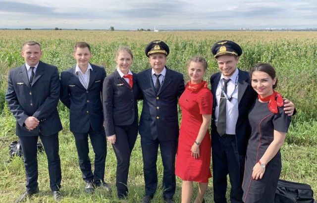 Чудо на кукурузном поле
