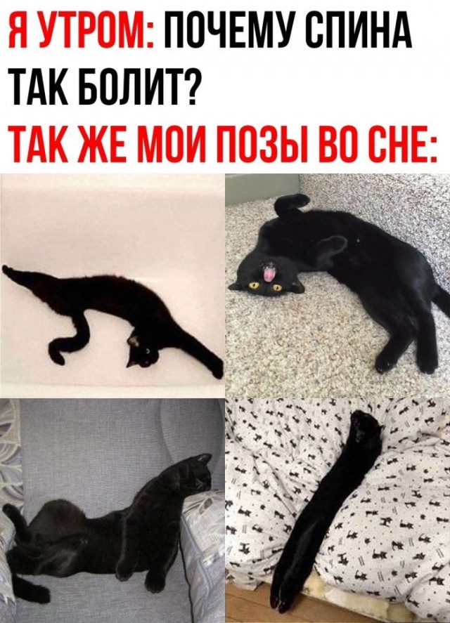 Нуштош 29.09.2023