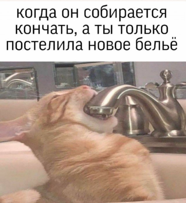 Немного пошлых картинок 29.09.23