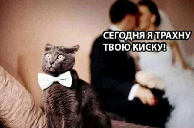 Юмор в картинках и без