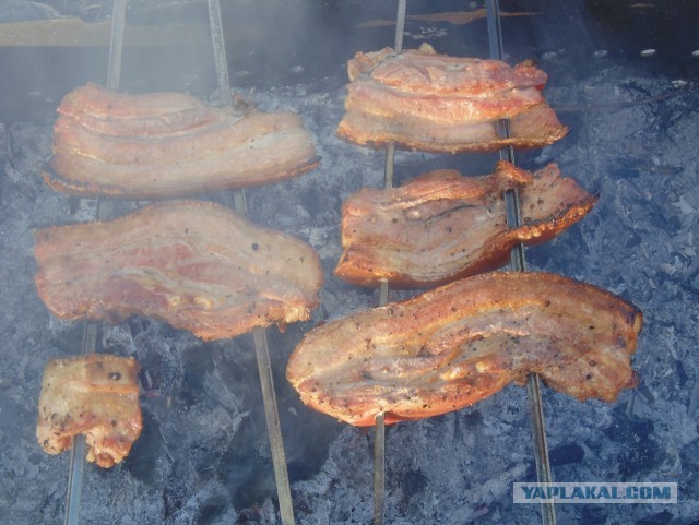 Дача, грибы, мясо, овощи.