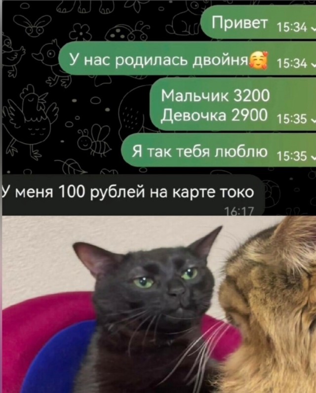 Забавные комментарии из социальных сетей (22.01.24)