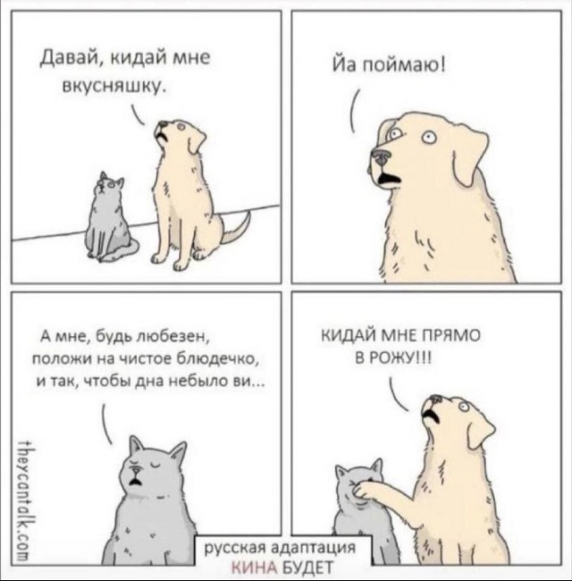Веселая ферма. Кошка из капкана